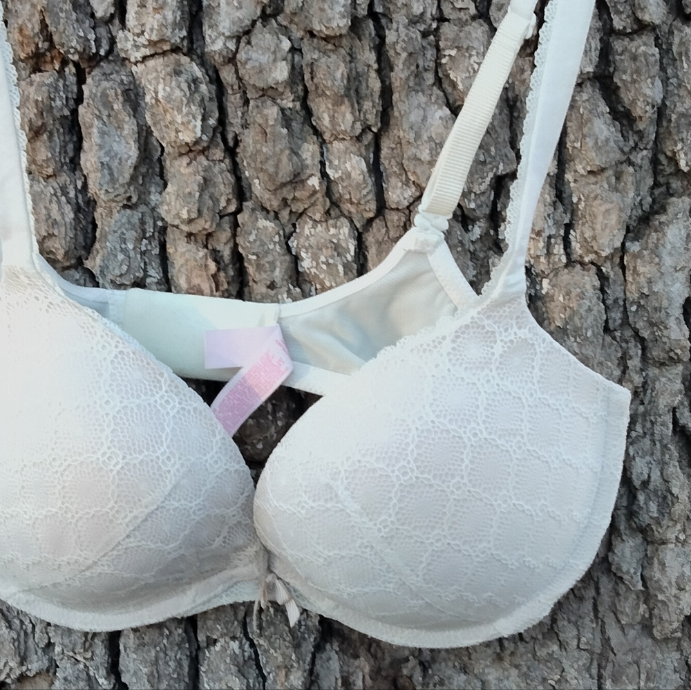 Victoria's Secret Crochet Lace Push -Up Bra in size. 34dd - Picture 2 of 4